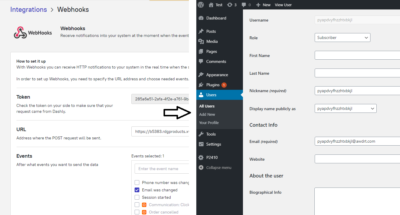 Webhook von Dashly löst automatische Erstellung eines WordPress-Kontos aus – Testbenutzer wird nach der E-Mail-Einsendung im Chatbot generiert.